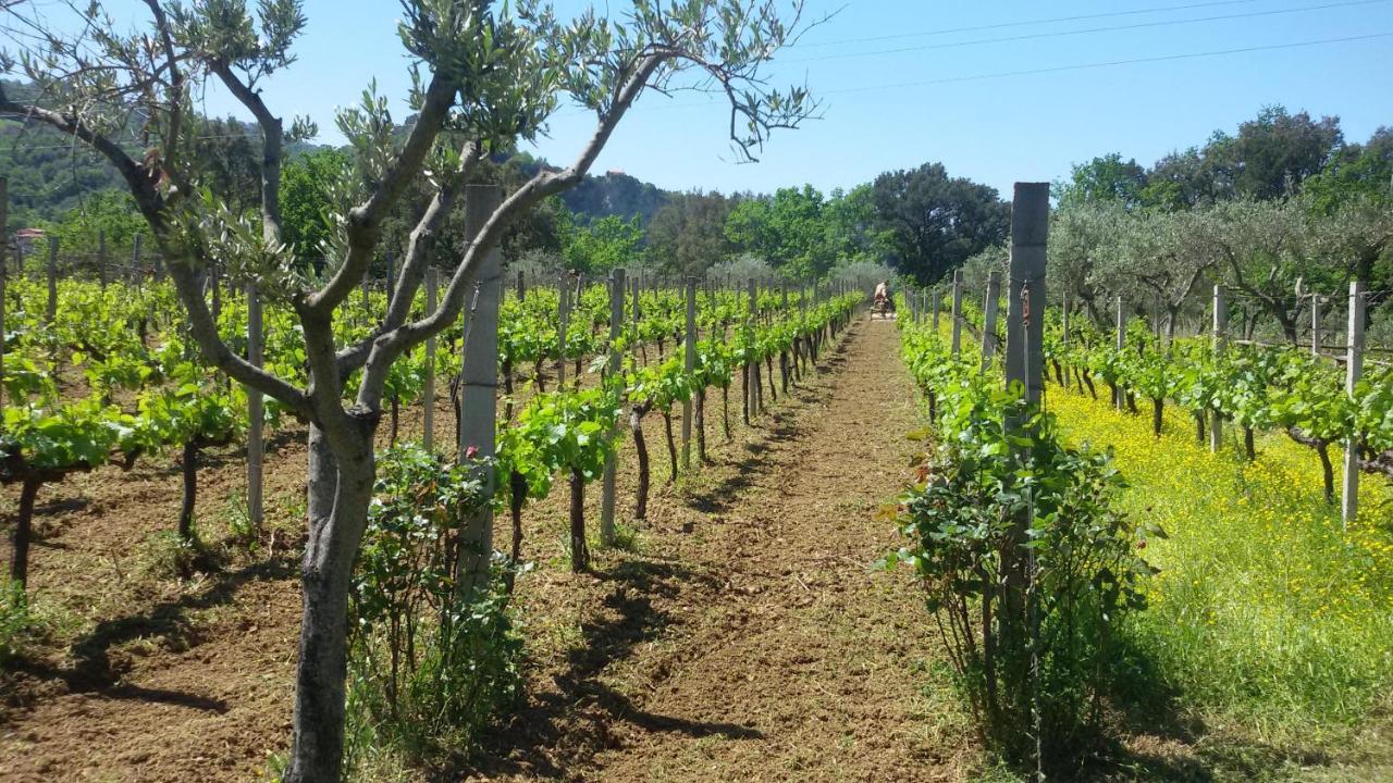 Agrilao Villa Scalea Buitenkant foto